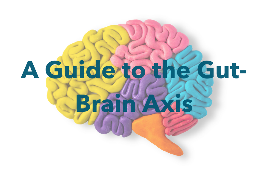 A Guide to the Gut Brain Axis