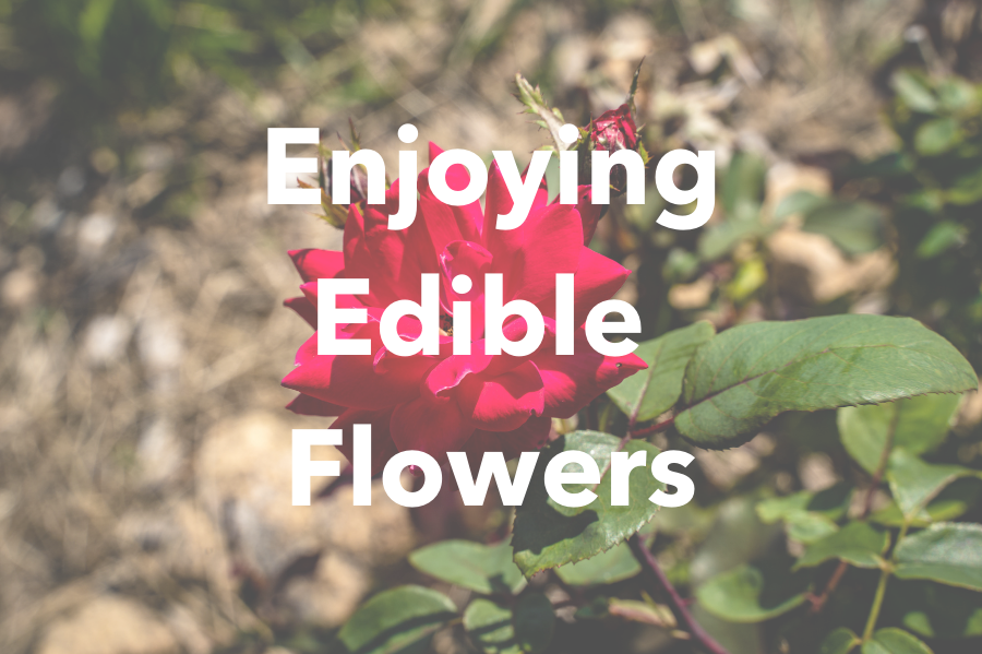 Enjoying Edible Flowers