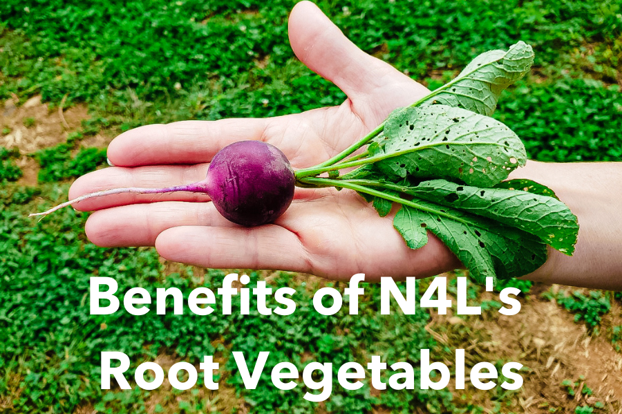 5 Remarkable Benefits of Root Vegetables