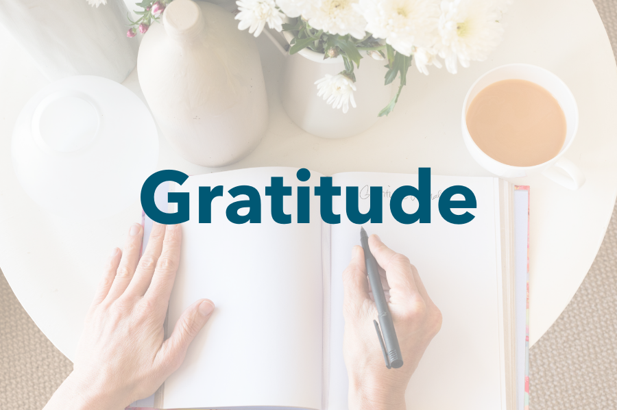 Gratitude – Nutrition For Longevity Meal Delivery