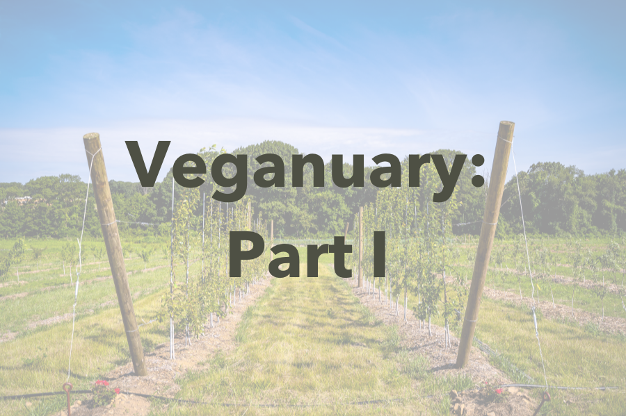 Veganuary: The Vegan Movement Changing Lives