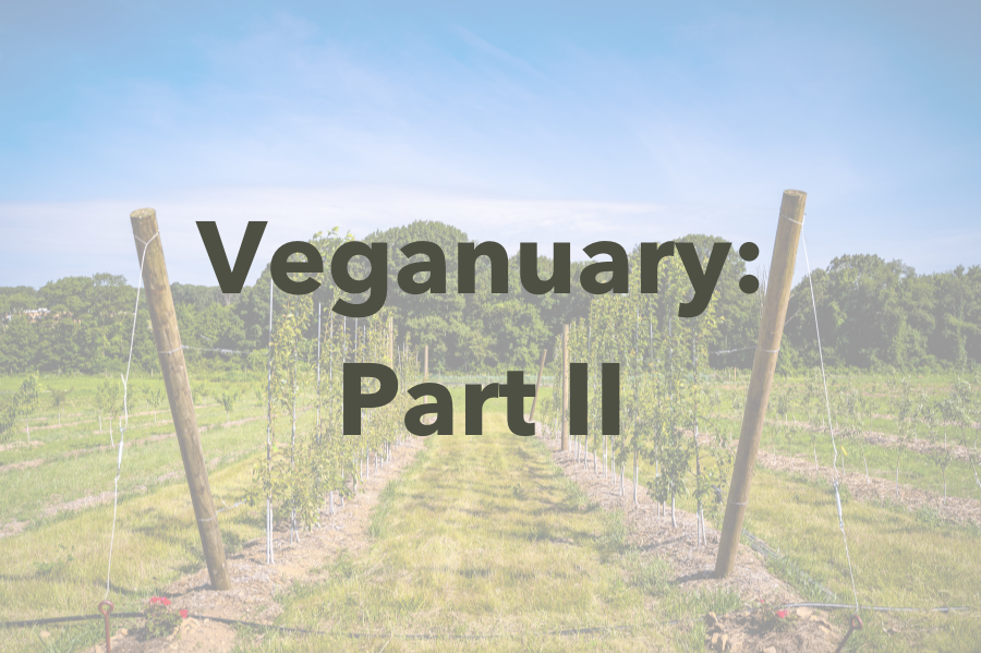 Veganuary: The Vegan Movement Saving the World